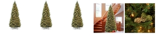 National Tree Company National Tree 10' Carolina Pine Slim Wrapped Tree with  Flocked Cones &  Clear Lights